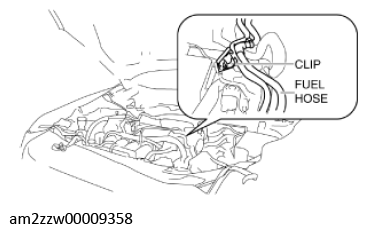 G11637695