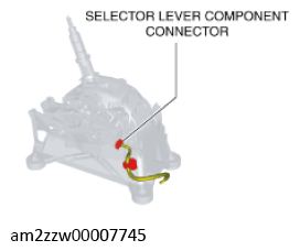 G11637756