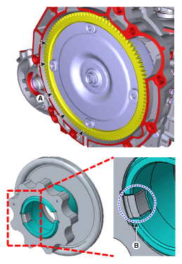 G11643848