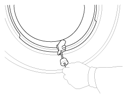 G11644381