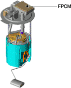 G11675789