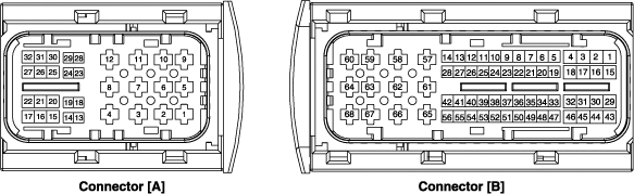 G11675864