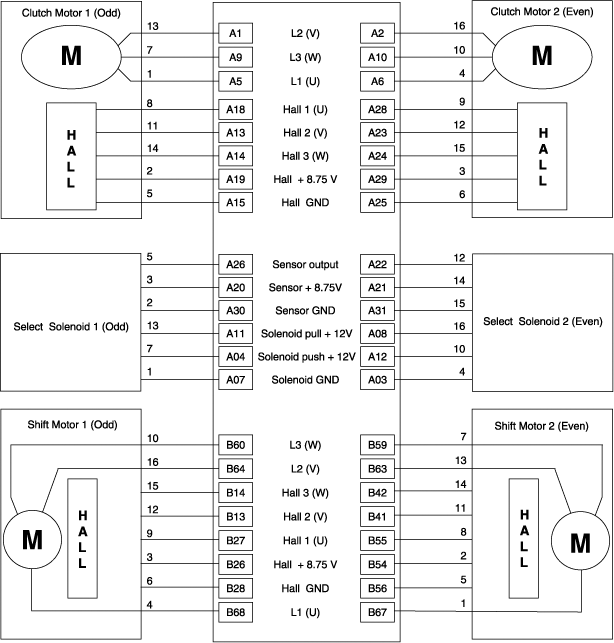 G11675865