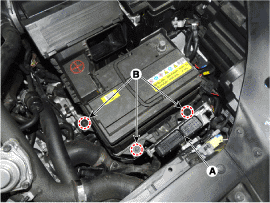 G11675868