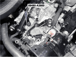 G11675973