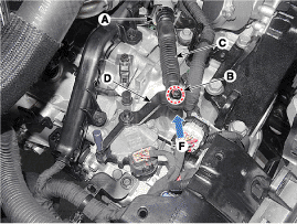 G11675974