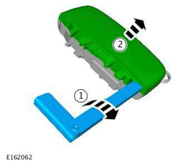 G11676341
