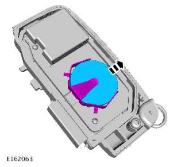 G11676342