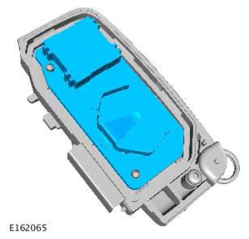 G11676344