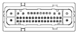 G11680176