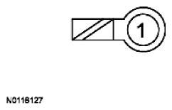 G11681308