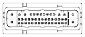 G11681586