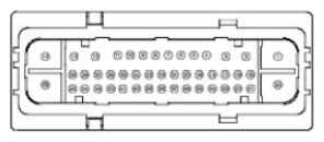 G11681609
