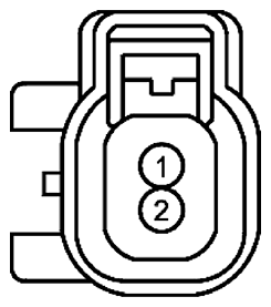 G11681636