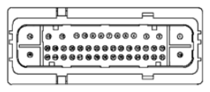 G11681725
