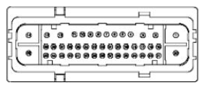 G11681808