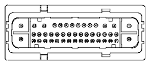 G11681847