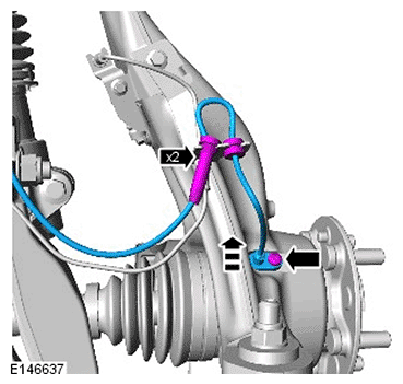 G11693991