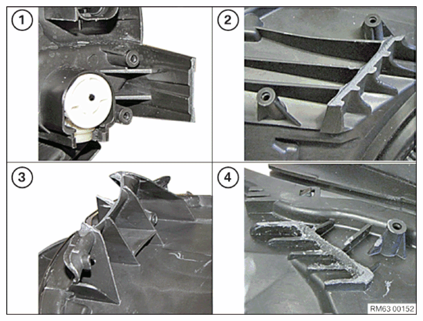 G11775076