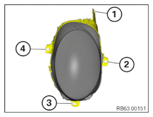 G11775079