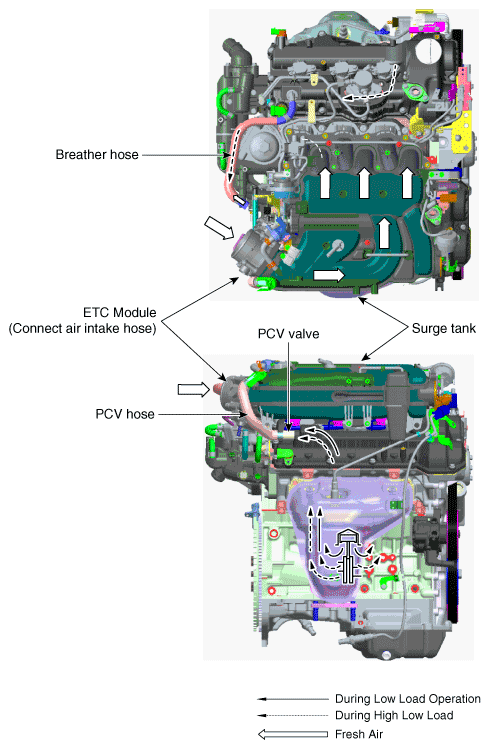 G11783930