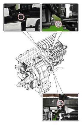 G11793035