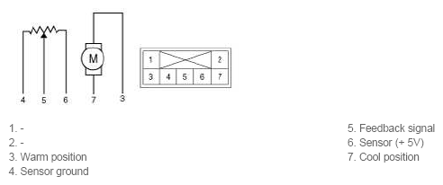 G11793041