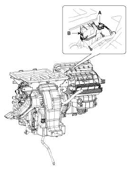 G11793047