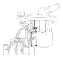 G11793998