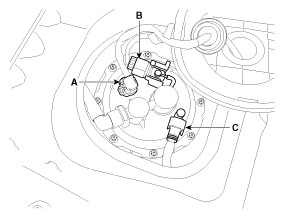 G11794961
