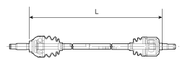 G11795386
