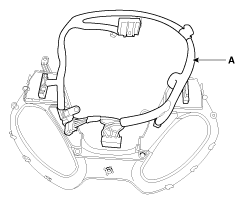 G11795528