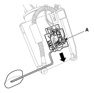G11797049