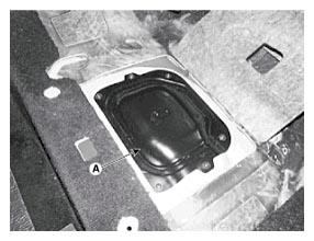 G11803035