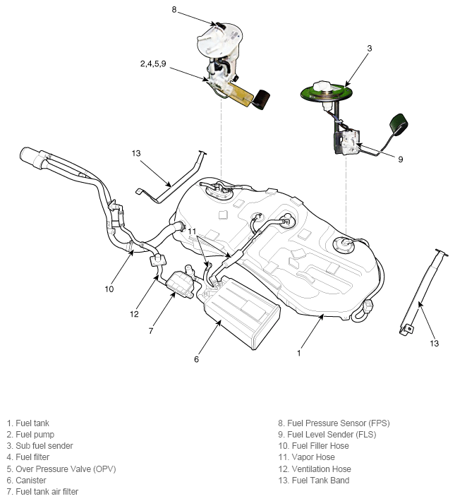 G11805048