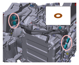 G11816002