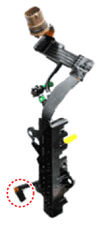 G11826186