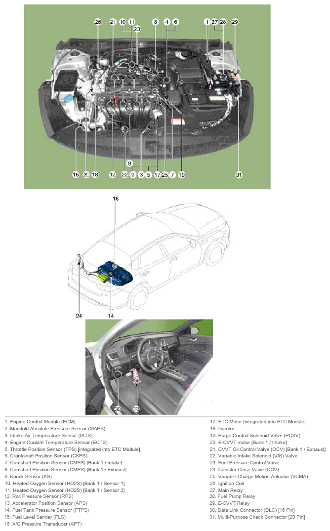 G11826901