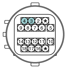 G11829981