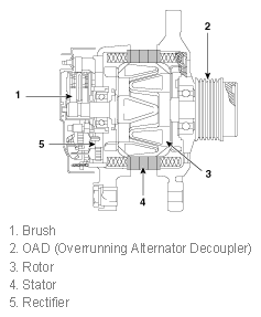 G11844928