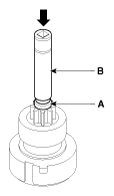 G11844986