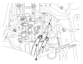 G11845442