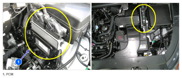 G11854584