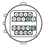 G11856851