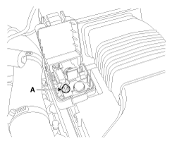 G11865374