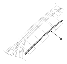G11867556