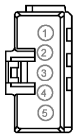 G11915500