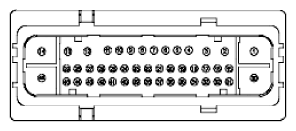 G11915525