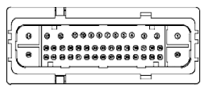 G11915535