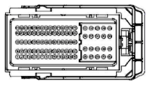 G11915560